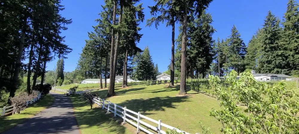 Top-rated residential landscaping with custom design in Puyallup, WA by Northwest Seasons Landscaping