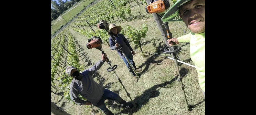 Trusted landscape installation with custom design across Puyallup, WA - Northwest Seasons Landscaping