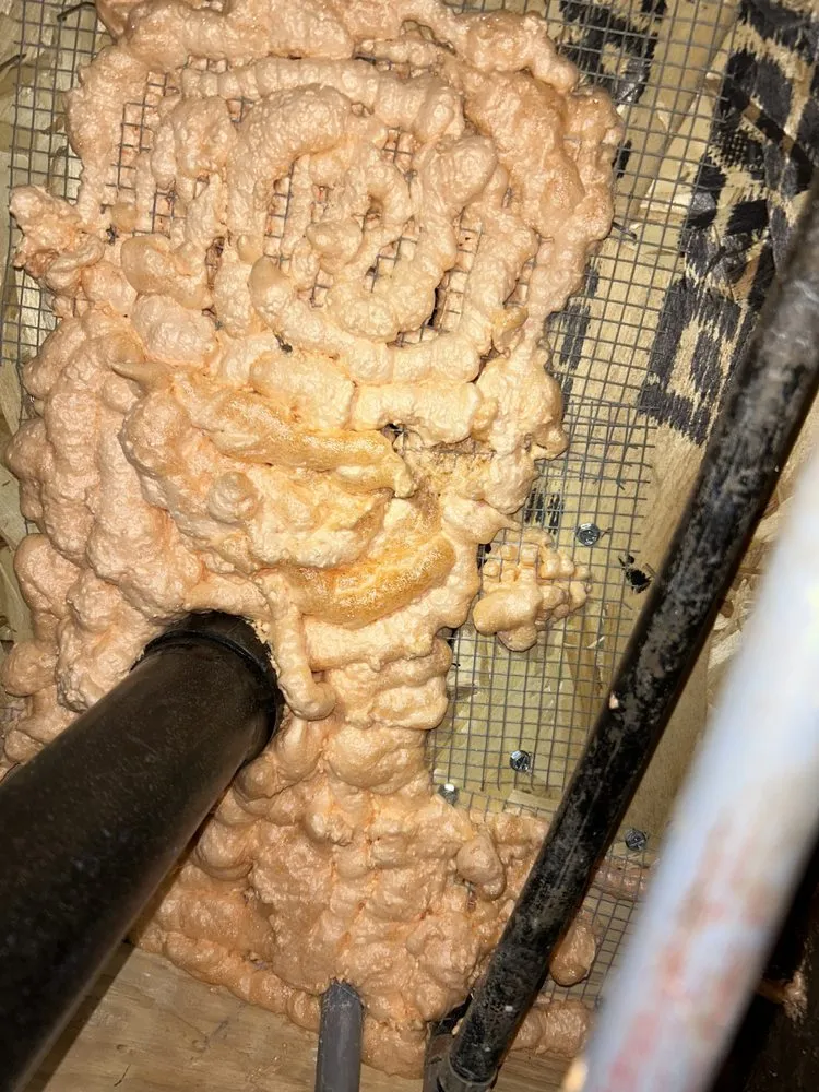 Reliable landscape design in Tacoma, WA - NorthWest Services Insulation and Landscaping