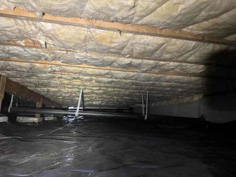 Affordable lawn care service in Tacoma, WA by NorthWest Services Insulation and Landscaping