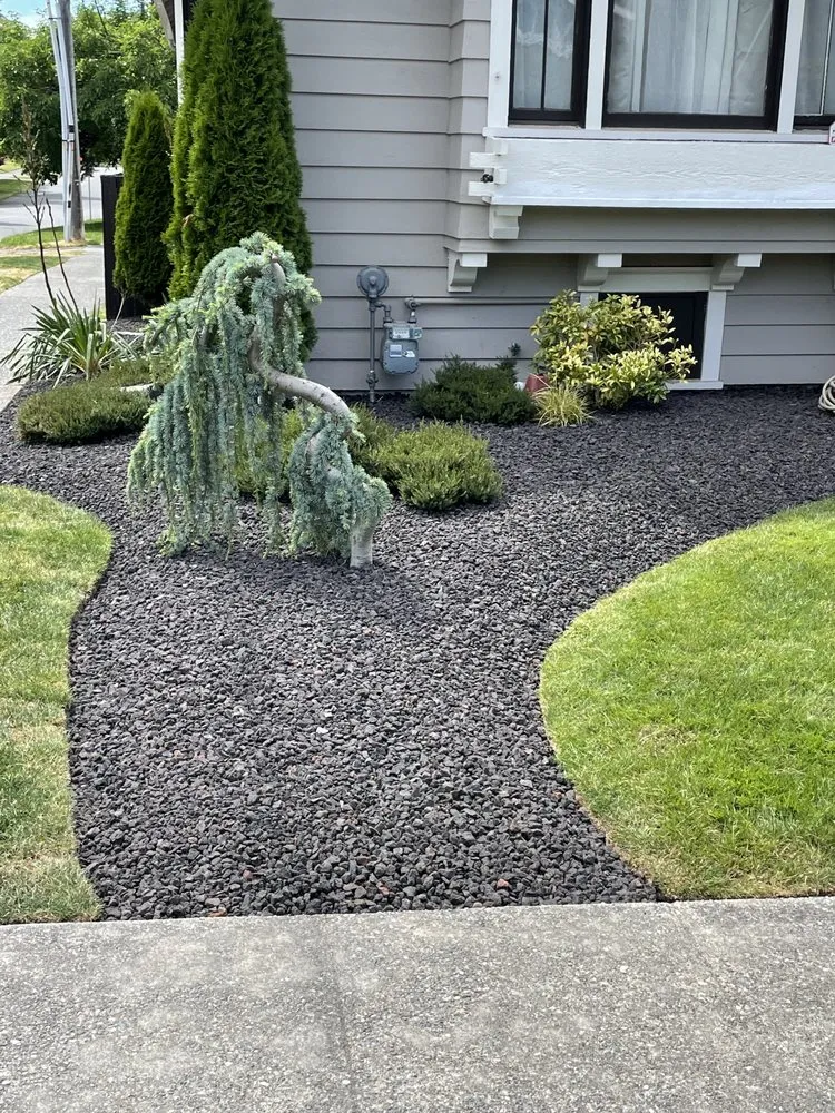 Affordable yard cleanup service for homes across Tacoma, WA - NorthWest Services Insulation and Landscaping