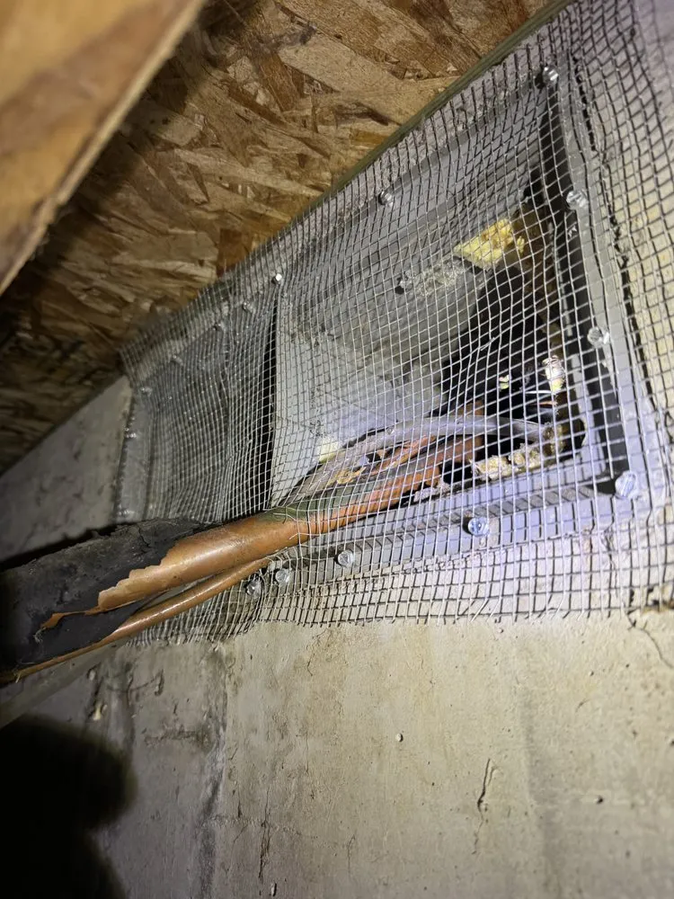 Trusted yard maintenance with custom design in Tacoma, WA by NorthWest Services Insulation and Landscaping