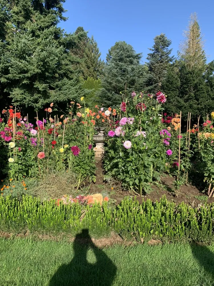 Affordable garden landscaping in Washougal, WA by Northwest Vista Gardens