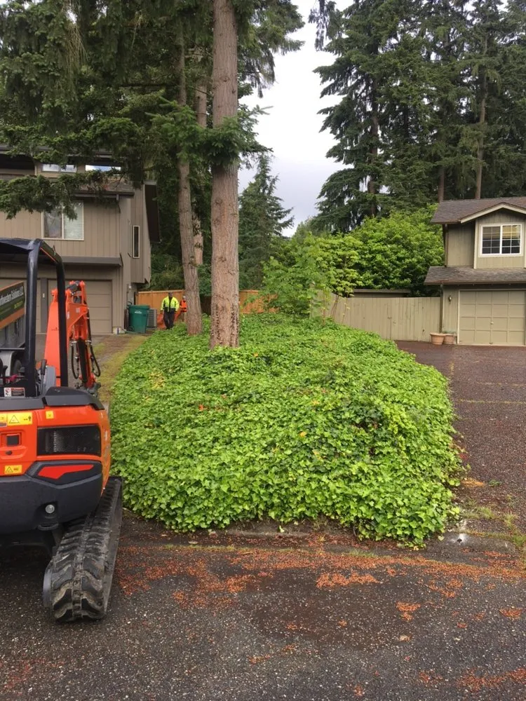 Trusted garden landscaping in Redmond, WA by Northwestern Solutions