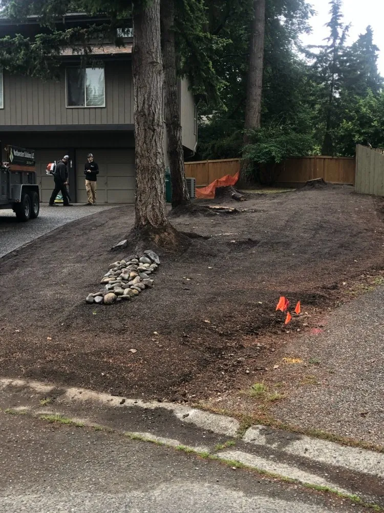 Trusted yard cleanup service experts serving Redmond, WA - Northwestern Solutions