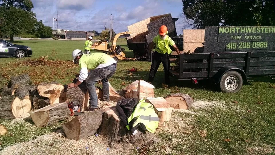 Professional garden landscaping experts serving Perrysburg, OH - Northwestern Tree Service and Landscaping