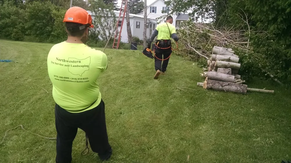 Affordable landscape design experts serving Perrysburg, OH - Northwestern Tree Service and Landscaping
