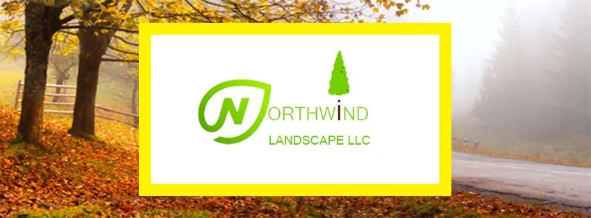 Professional yard maintenance in Colorado Springs, CO by Northwind Landscape