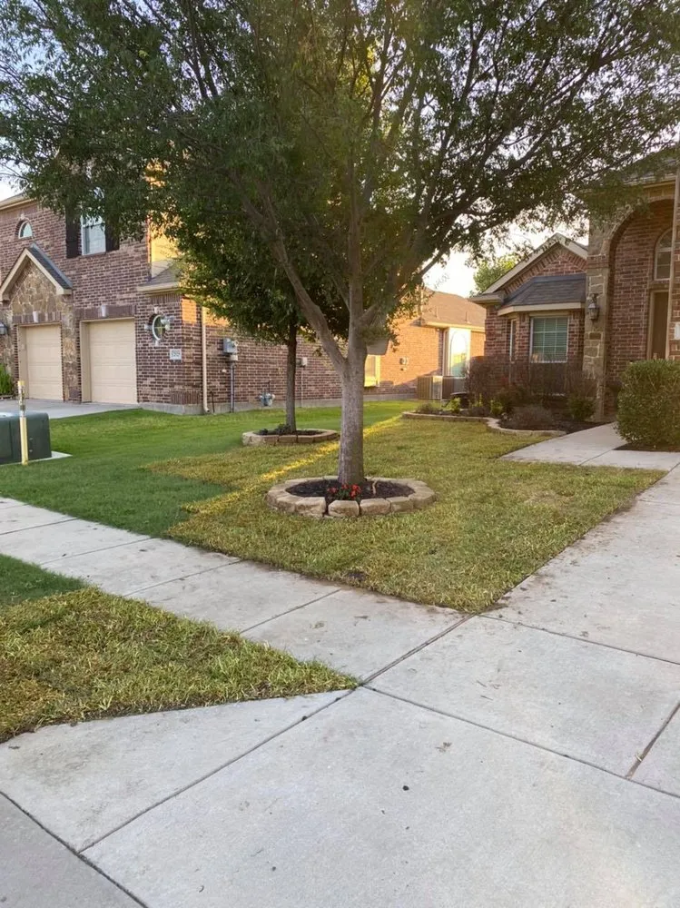 Reliable yard cleanup service experts serving Van Alstyne, TX - NorthWolf Landscaping