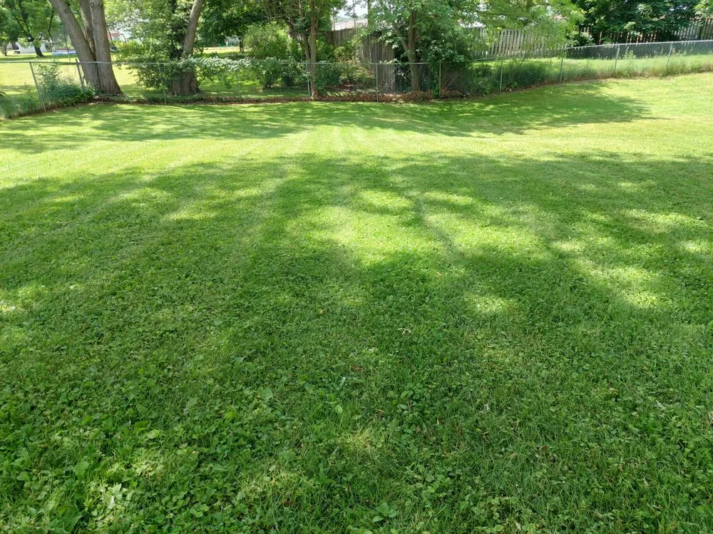 Local lawn mowing service for residential properties in Youngstown, OH by Northwood Lawn Care