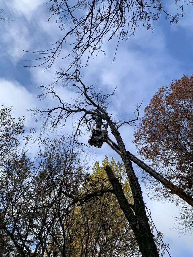 Expert garden landscaping in Dayton, MN by Northwood Outdoor Services