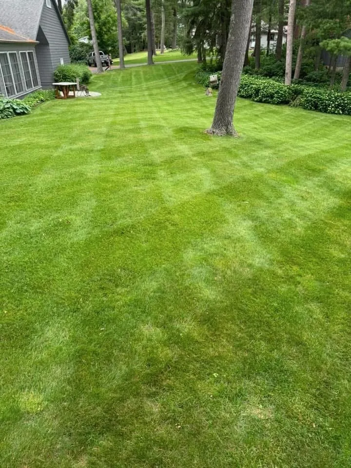 Expert yard cleanup service experts serving Chetek, WI - Northwoods Cabin & Property Care