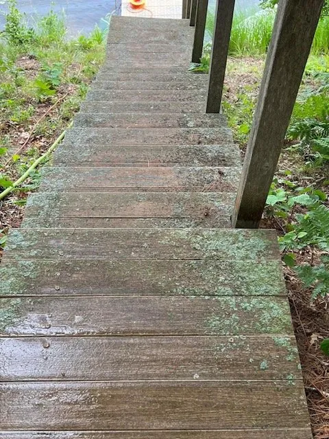 Custom yard cleanup service for outdoor upgrades in Chetek, WI by Northwoods Cabin & Property Care