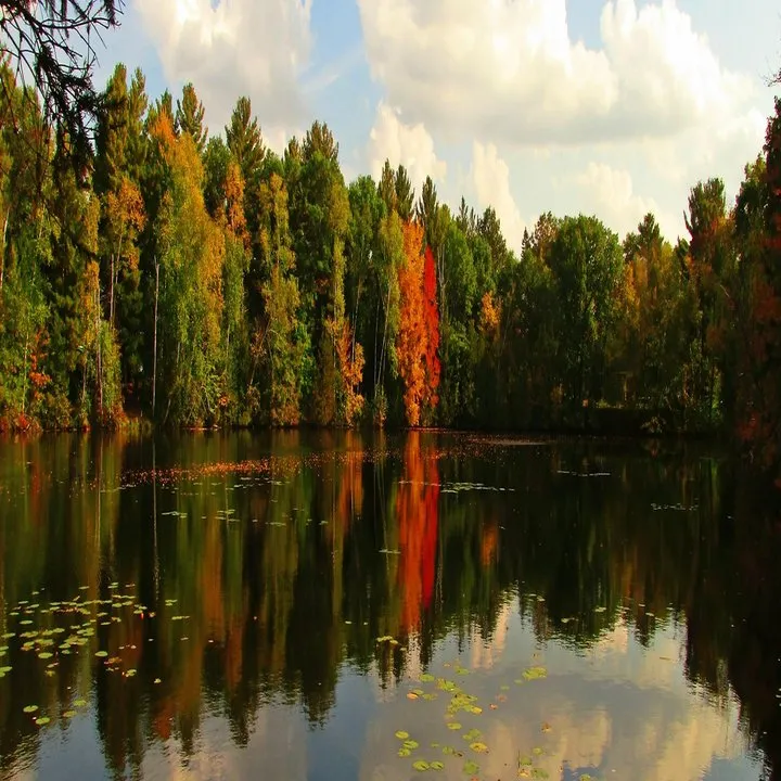 Affordable lawn mowing service in Chetek, WI - Northwoods Cabin & Property Care