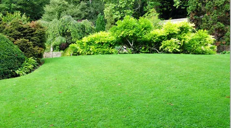 Trusted yard cleanup service experts serving Grant, MI - Northwoods Greenscapes