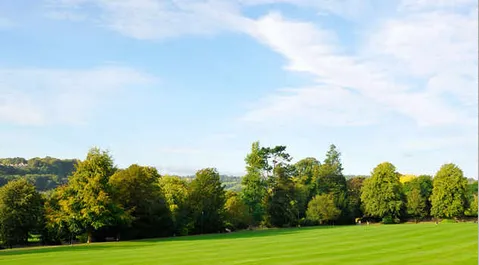 Expert garden landscaping for beautiful yards across Grant, MI - Northwoods Greenscapes