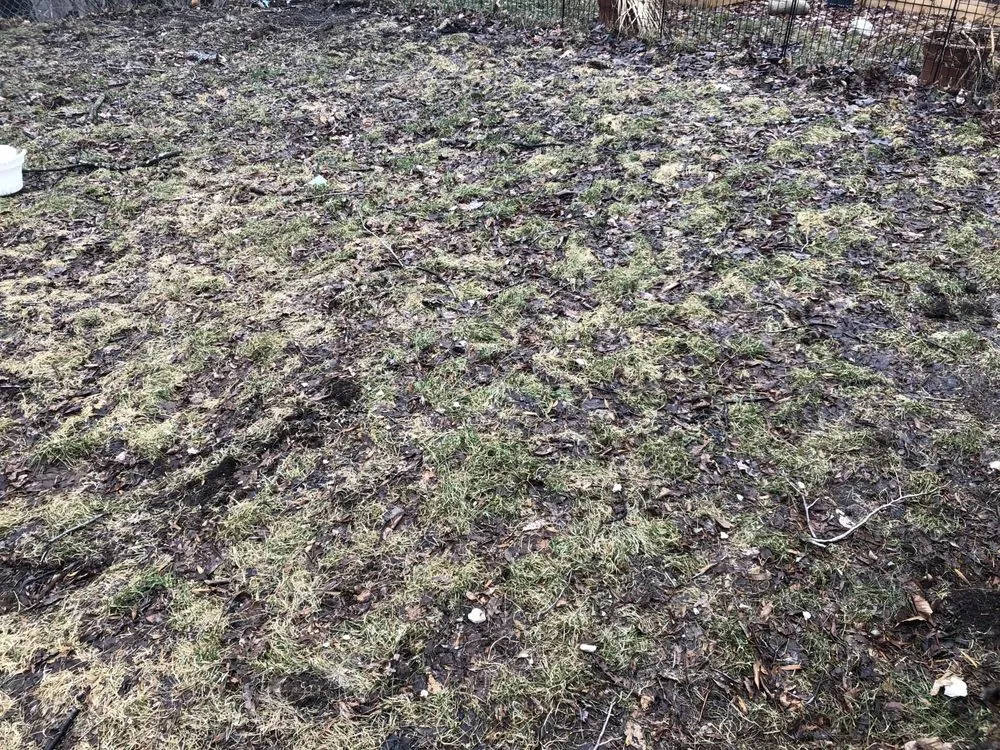 Custom lawn care service for homes in Vernon Township, NJ by Northwoods Landscaping