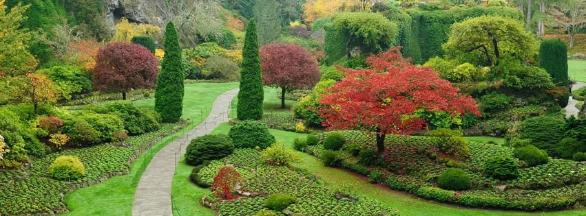 Top-rated yard cleanup service in Eau Claire, WI - Northwoods Unlimited