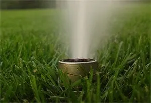 Top-rated landscaping services experts serving Orem, UT - Norton Industries