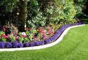 Affordable landscape design for beautiful yards in Orem, UT by Norton Industries
