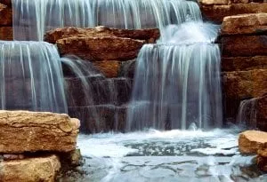 Top-rated yard cleanup service in Park City, UT by Norton Industries