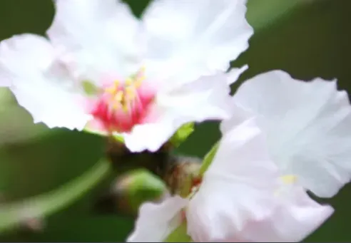 Affordable outdoor landscaping for outdoor upgrades across Kittery, ME - Norton Landscaping