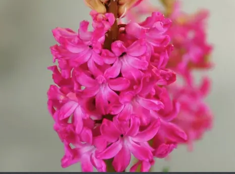 Trusted landscape installation for residential properties across Kittery, ME - Norton Landscaping