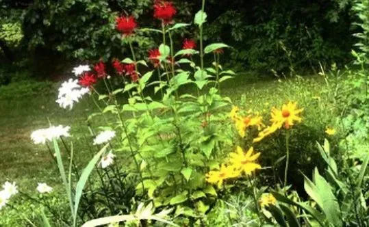 Expert landscape installation for outdoor upgrades across Kittery, ME - Norton Landscaping