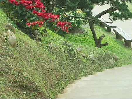 Reliable landscape installation in Kittery, ME by Norton Landscaping