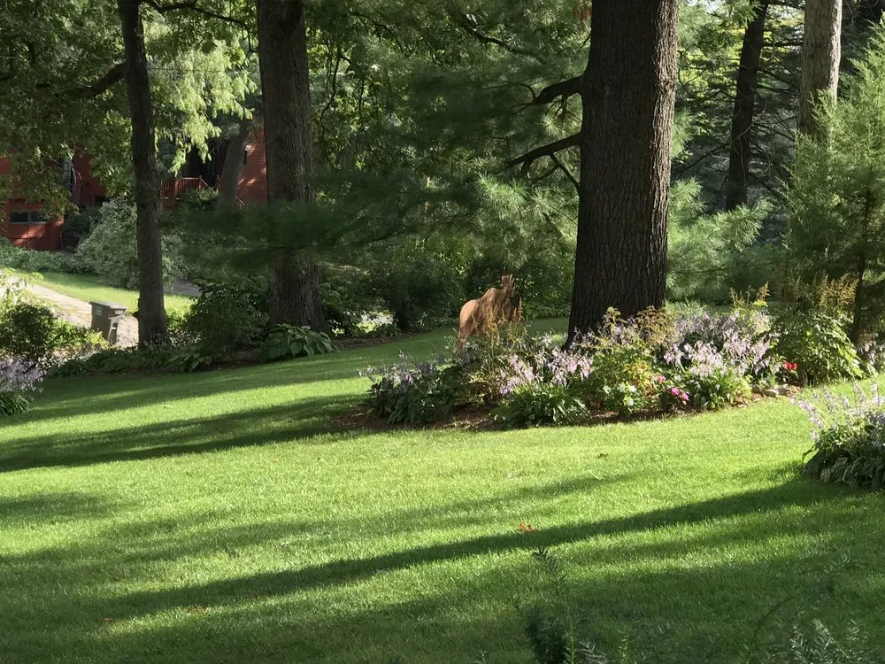 Trusted lawn care service for homes in Norwalk, IA by Norwalk Seasonal Services