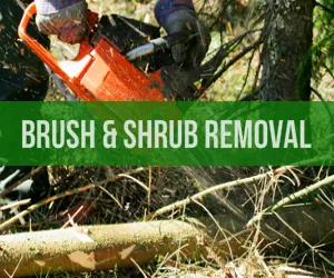 Local landscaping services in Norwalk, IA by Norwalk Seasonal Services