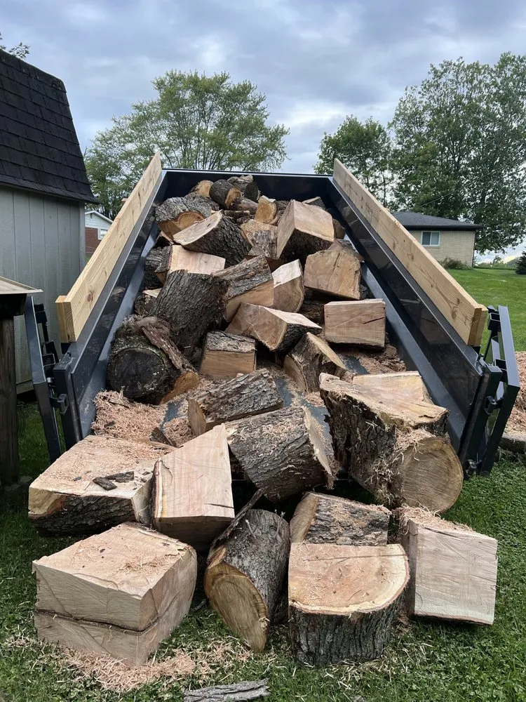 Professional yard cleanup service in Fairland, IN - Norwalt Property Services