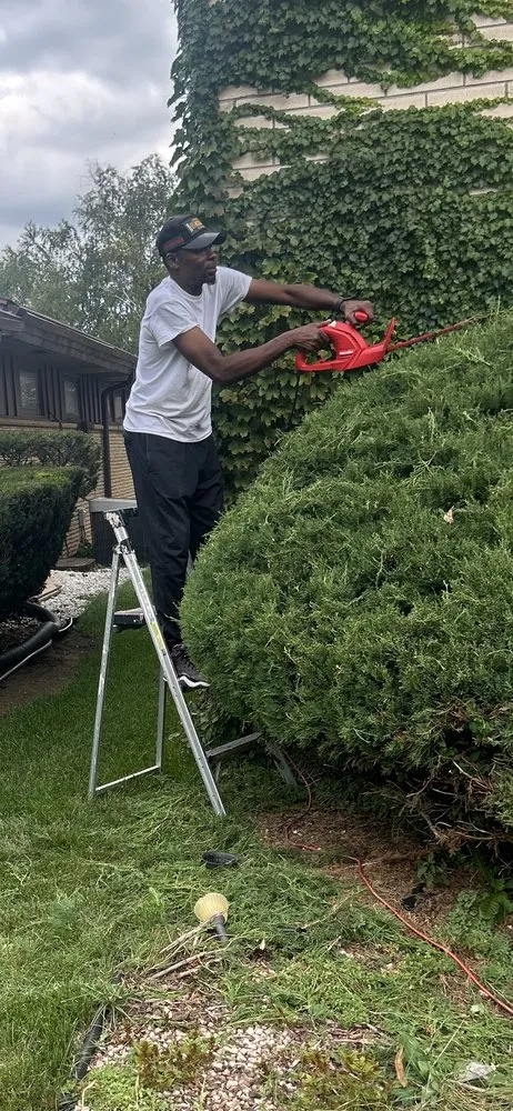 Custom landscape design experts serving Milwaukee, WI - Norwood Landscaping & Maintenance