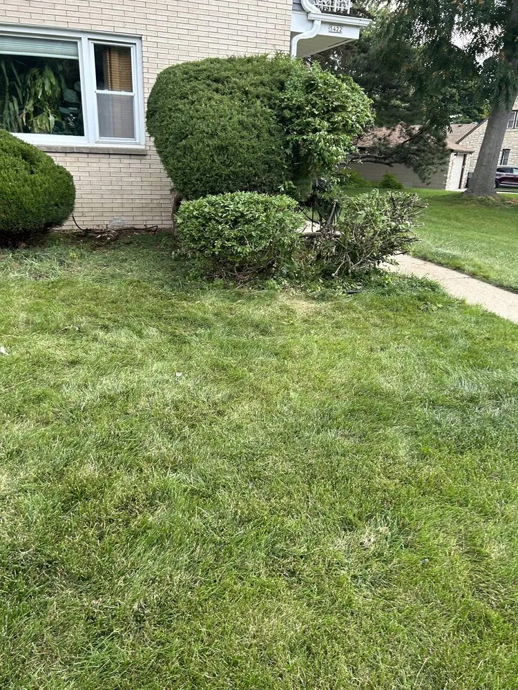 Local yard cleanup service in Milwaukee, WI by Norwood Landscaping & Maintenance