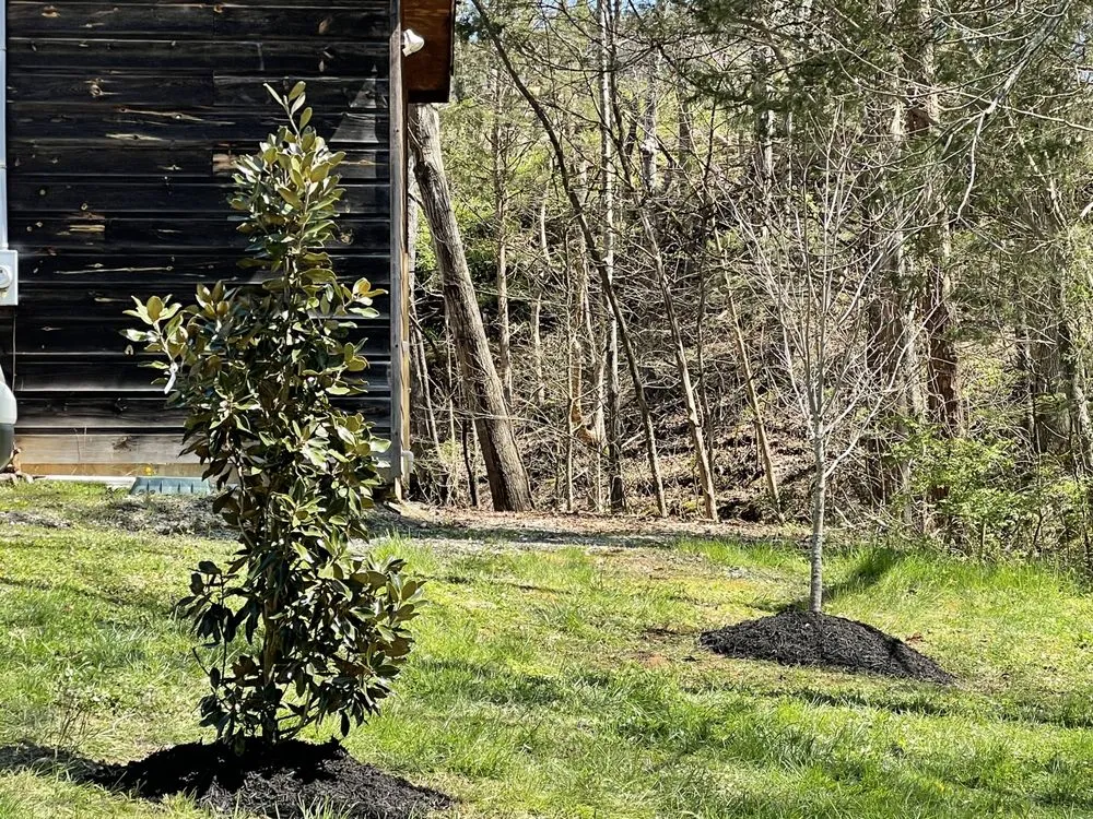 Reliable landscape design experts serving Kodak, TN - Norwood Lawn and Landscaping