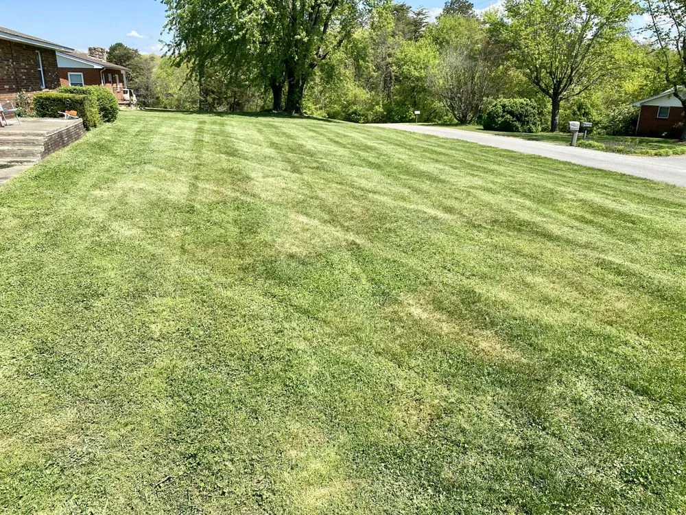 Reliable yard maintenance with custom design across Kodak, TN - Norwood Lawn and Landscaping