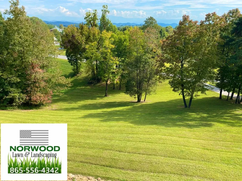 Top-rated residential landscaping for beautiful yards across Kodak, TN - Norwood Lawn and Landscaping