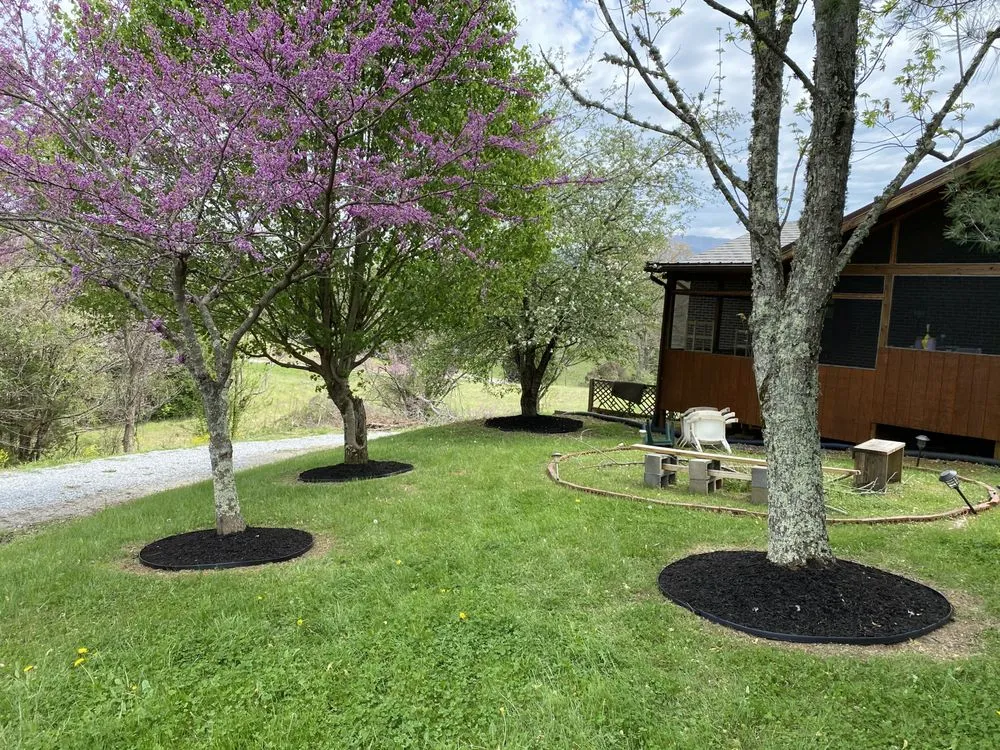 Professional yard cleanup service experts serving Kodak, TN - Norwood Lawn and Landscaping
