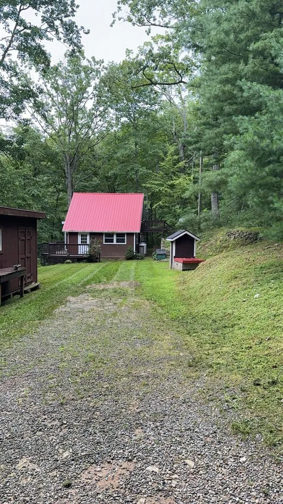 Reliable lawn care service for year-round maintenance across Orange, VA - Norwoods Home and Lawn