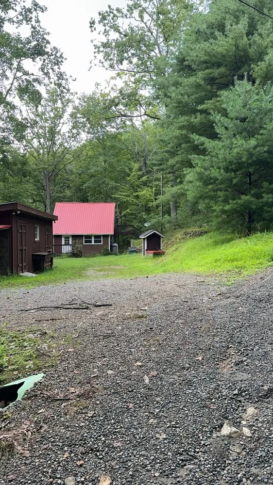 Reliable lawn care service for outdoor upgrades in Orange, VA by Norwoods Home and Lawn