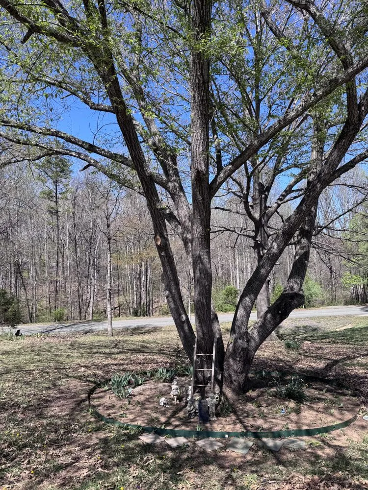 Trusted outdoor landscaping in Orange, VA - Norwoods Home and Lawn