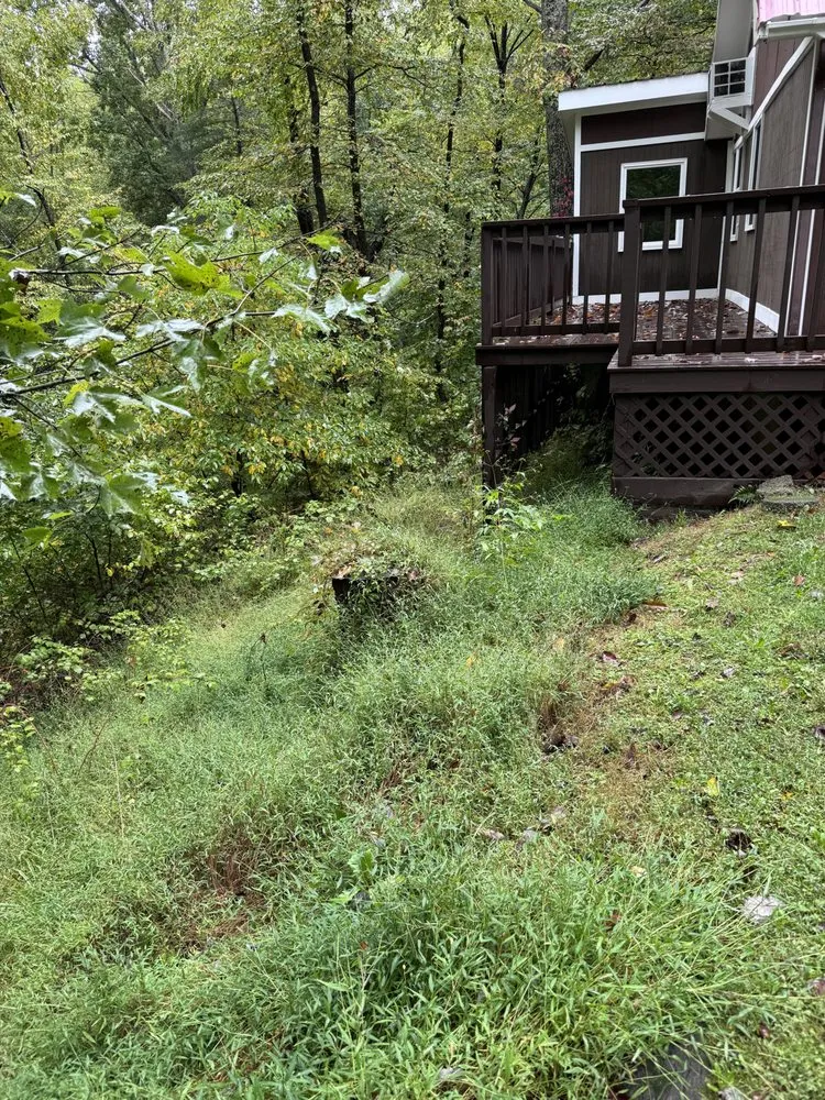 Trusted residential landscaping for residential properties across Orange, VA - Norwoods Home and Lawn