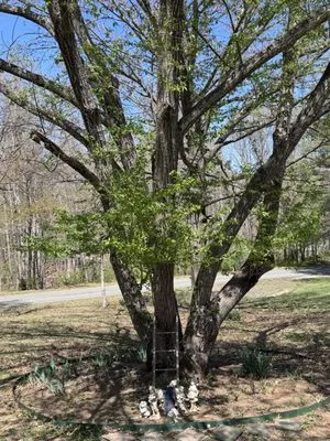 Norwoods Home and Lawn