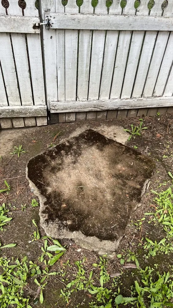 Affordable yard cleanup service for outdoor upgrades in Keizer, OR by Nosa Asset Improvements