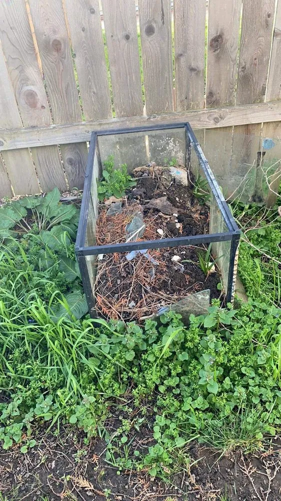 Professional landscape design in Keizer, OR - Nosa Asset Improvements