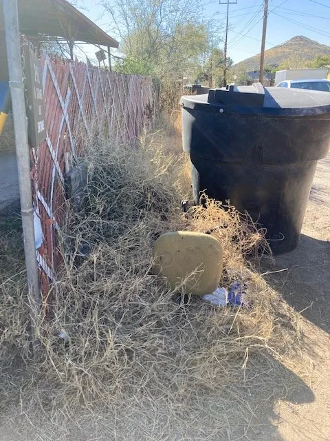 Affordable lawn care service for residential properties across Tucson, AZ - Nosotros Landscaping