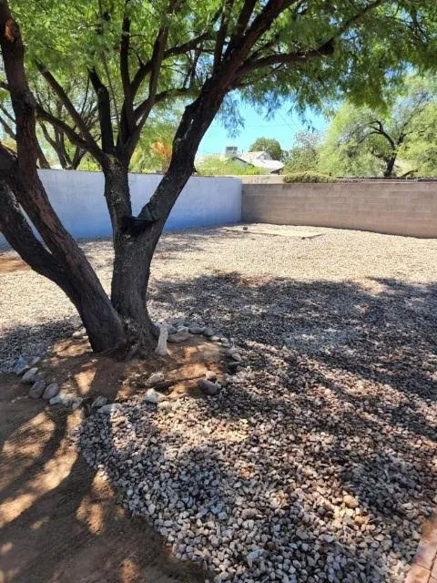 Expert yard cleanup service with custom design in Tucson, AZ by Nosotros Landscaping