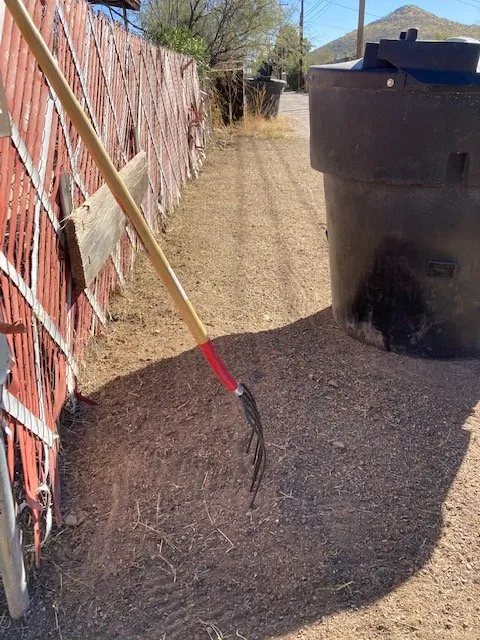 Custom landscape installation in Tucson, AZ by Nosotros Landscaping