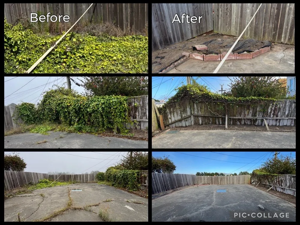 Local yard maintenance for homes across Daly City, CA - Nosso Larr Hauling