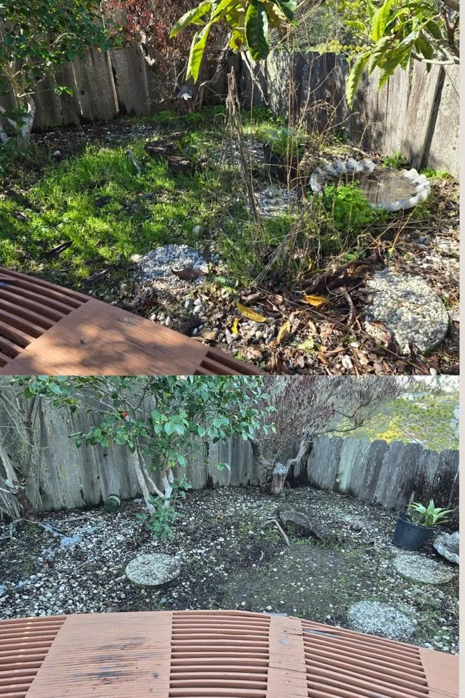 Professional yard cleanup service near you across Daly City, CA - Nosso Larr Hauling